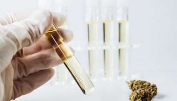 Comparing Full Spectrum CBD Oil With CBD Isolate: An Overview!