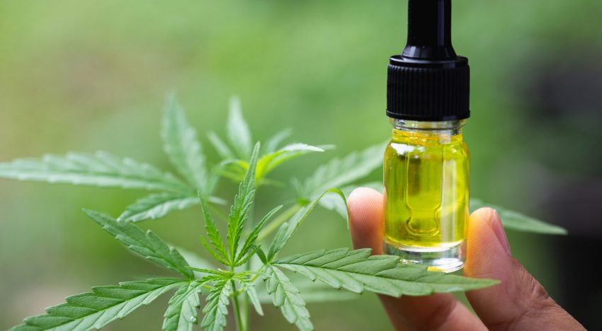 The Many Benefits of Using CBD Oil