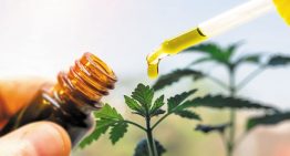 How CBD Is Effective in Reducing Anxiety in People?