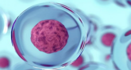 Can Stem Cell Therapy Help Autoimmune Diseases Like Multiple Sclerosis?