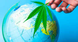 World wide weed: What are cannabis laws like around the world?