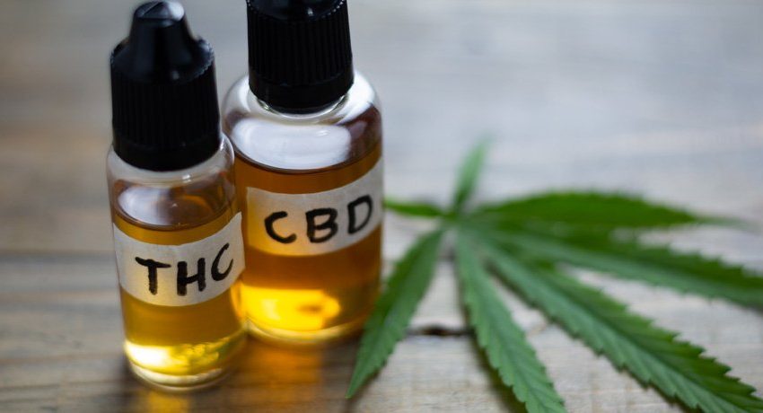 Where Does THC Come From?