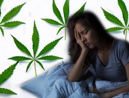How to Find the Right Cannabis Strains for Sleep?