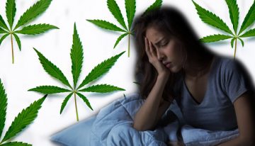 How to Find the Right Cannabis Strains for Sleep?